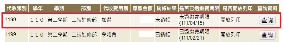 110-2繳費畫面